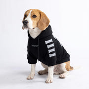 Spark Paws sweat face montrant coupe et style, maintien confortable