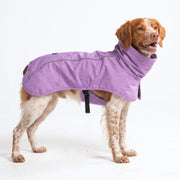 Spark Paws veste face entière montrant protection totale et confort
