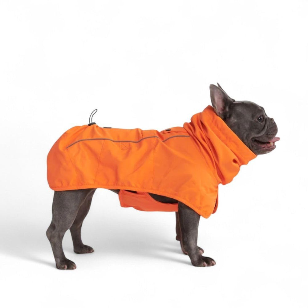 Spark Paws veste face pleine montrant couverture complète et protection