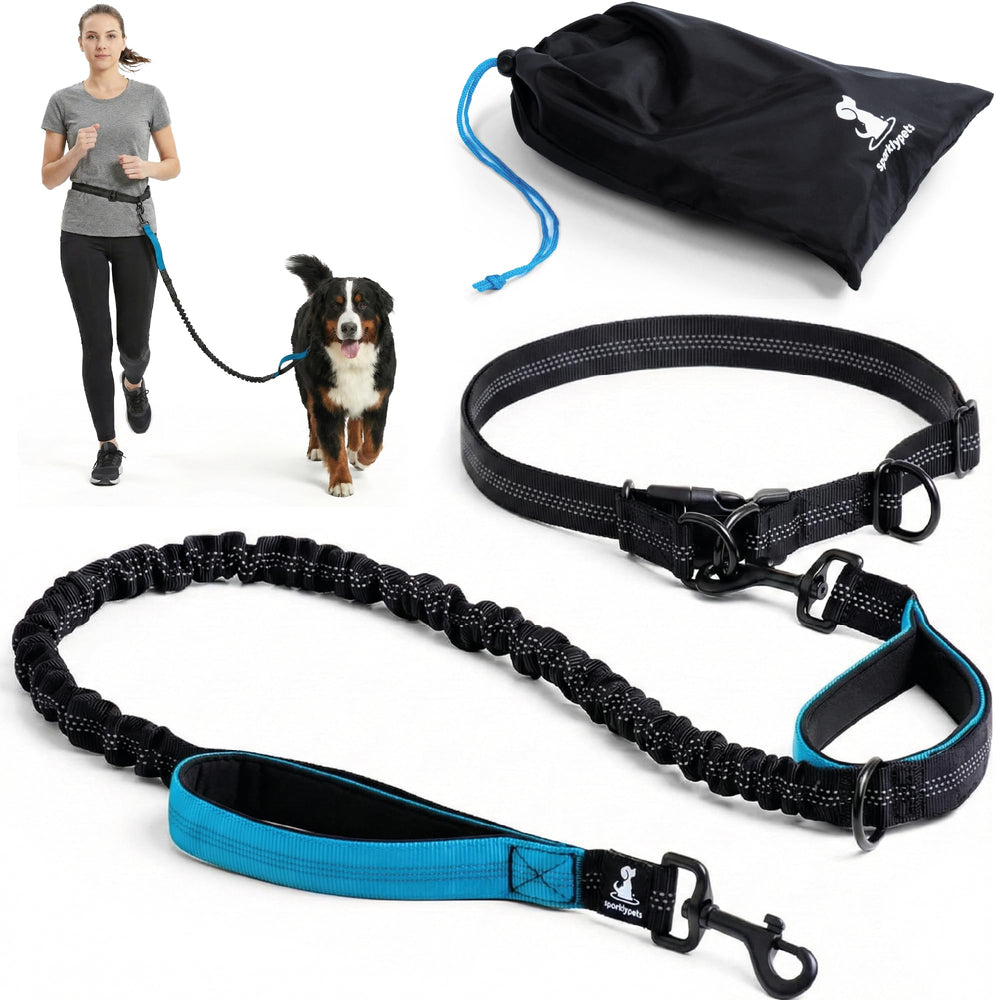 SparklyPets ceinture face complète montrant répartition tension et confort