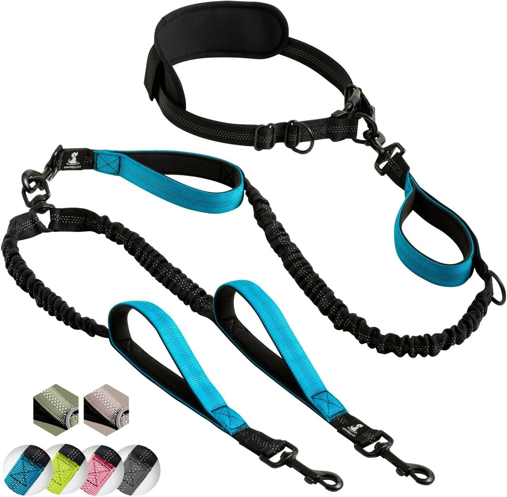 SparklyPets laisse double face avant montrant la couleur bleue et la construction solide