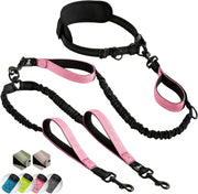 SparklyPets laisse double face rose montrant design et fixation sécurisée
