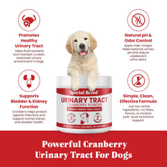 Special Breed doseur et cuillère pour dosage précis et administration simple