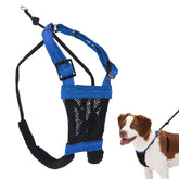 Sporn harnais vue de face bleu montrant coupe et ajustement confortable