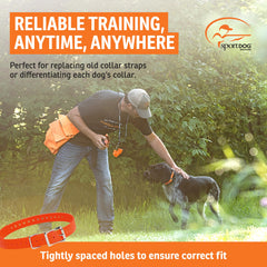 SportDOG boucle métal en gros plan pour sécurité et durabilité