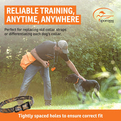 SportDOG boucle métal en gros plan pour tenue durable