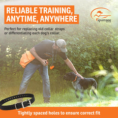 SportDOG zoom sur boucle métal apportant sécurité