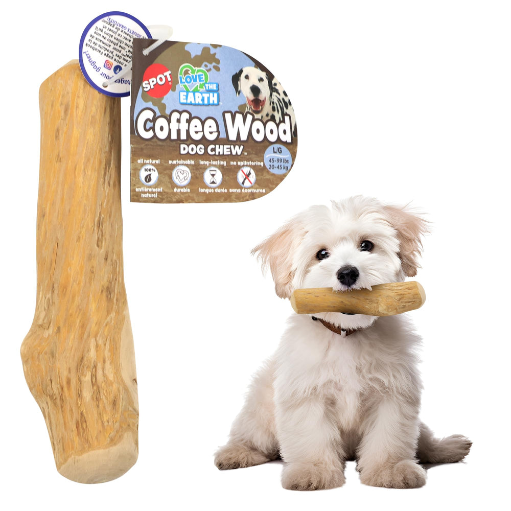 SPOT jouet bois de café face avant montrant finition sécurisée
