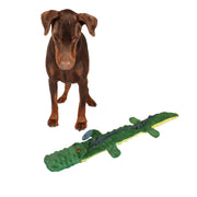 SPOT Crocodile face avant montrant la forme et attrait visuel durable