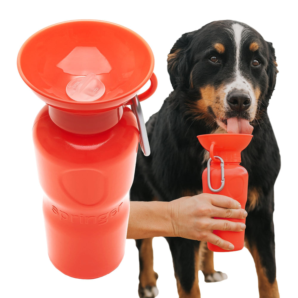 Springland bouteille face avant Poppy, design pratique pour promenades