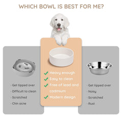 SPUNKYJUNKY bol en usage avec chien buvant pour une stabilité fiable