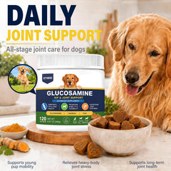 STHHD gros plan texture du chew pour appétence et facilité mâchoire