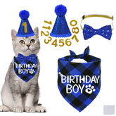STMK bandana face avec texte « BIRTHDAY BOY » pour look festif et confortable