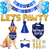 STMK vue face du kit complet pour fête de chien, prêt à l'emploi