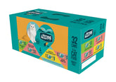 Strongheart emballage avant du coffret 32 conserves montrant les saveurs variées