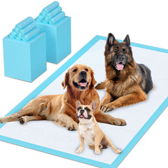 SUGUNING emballage du pack de 40 tapis montrant quantité et format