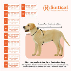 Suitical poche intérieure adaptée pour pack froid et apaisement