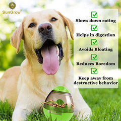 SunGrow chat faisant rouler la boule stimulant chasse et activité