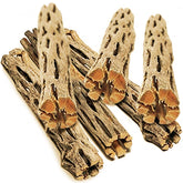 SunGrow vue avant du pack cholla wood pour décor naturel et activité