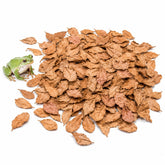 SunGrow emballage avant montrant 100 feuilles Catappa, praticité pour terrarium