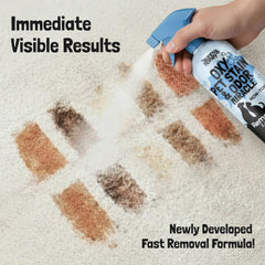 Sunny & Honey application sur tapis démontrant nettoyage local efficace