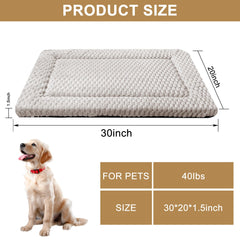 SUNSHE gros plan sur la texture moelleuse pour apaiser les animaux