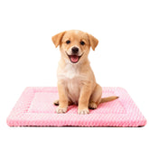 SUNSHE vue avant du tapis beige rose, confort immédiat et style