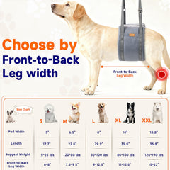 Sunsleek poignées rembourrées utilisées pour soulever confortablement le chien