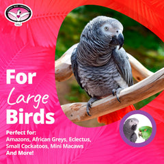 Super Bird Creations détail maillons en plastique bénéfice durabilité