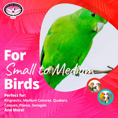 Super Bird Creations maillons colorés suspendant la tente, attractivité visuelle