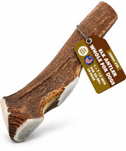 Superior Antler bois d'élan entier en gros plan, durable pour mâcheurs puissants