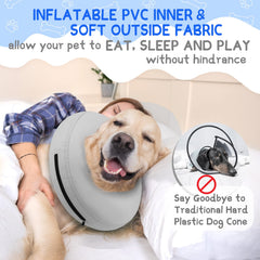 Supet collier porté par chien en salon illustrant confort et mobilité