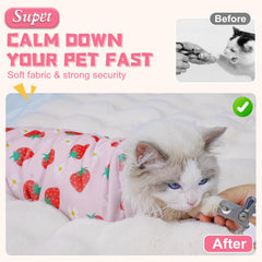 Supet : enveloppe montrée à côté d'un chat pour visualiser la taille