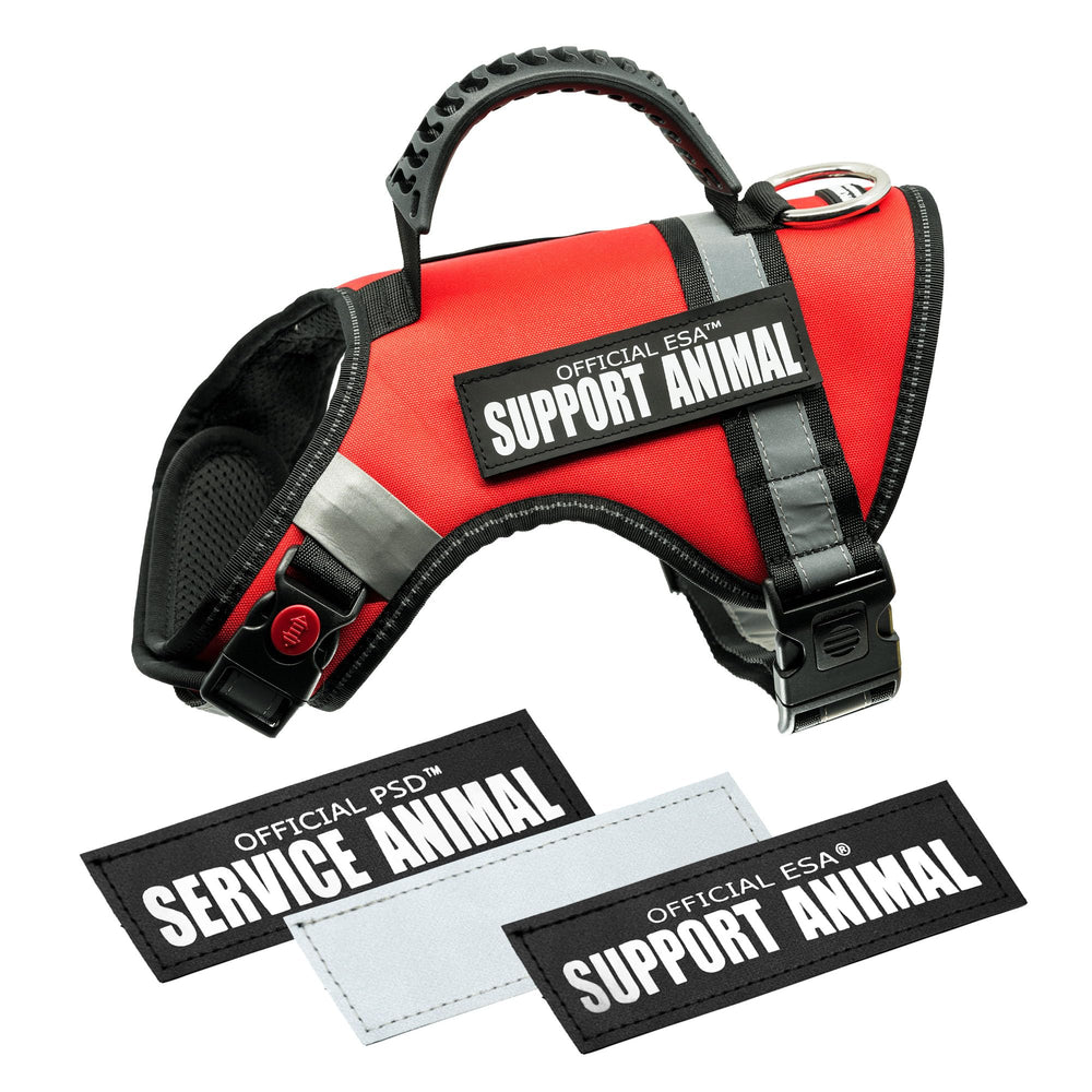 Support Pets veste vue de face affichant les trois patches et avantage identification