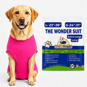 Surgi~Snuggly vue de face sur chien montrant protection post-opératoire et confort