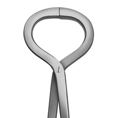SURGICAL ONLINE usage sur sabot illustrant examen précis et sécurité équine