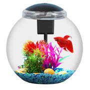 SW PRODUCTS aquarium face avant affichant poissons et décoration, belle présentation