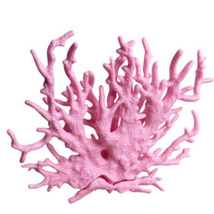 SwandTanpand corail rose face montrant couleur vive et esthétique