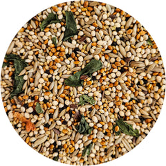 Mangeoire remplie avec Sweet Harvest utilisée en jardin pour attirer les finches