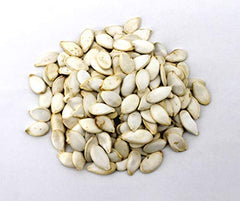 Sweet Harvest perroquet mangeant graines, favorise stimulation et plaisir