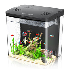 SYSENCIAGA vue de face de l’aquarium acrylique bénéfice décoratif