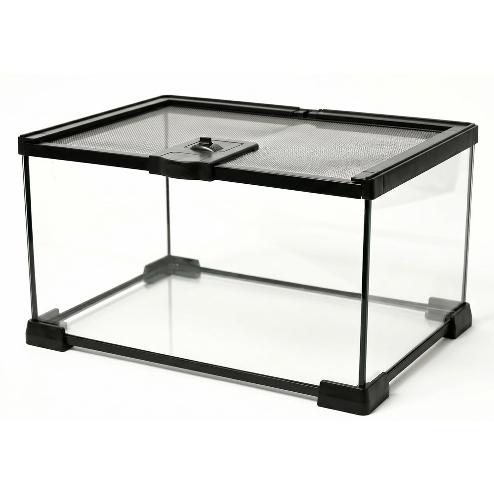 Tailwag Fable vue face du terrarium en verre montrant visibilité panoramique et sécurité