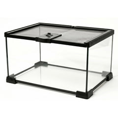 Tailwag Fable vue face du terrarium en verre montrant visibilité panoramique et sécurité