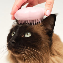 TANGLE TEEZER brossage sur chat détendu, démêle sans tirer et apaise