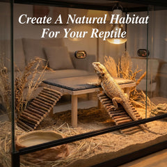 TankMatDecor plateforme installée dans terrarium améliorant zonage thermique