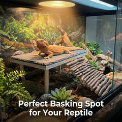 TankMatDecor rampe en bois montrant fixations robustes pour sécurité