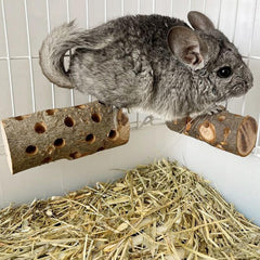TANOMA bâton installé dans une cage avec un lapin rongeant pour stimulation et occupation