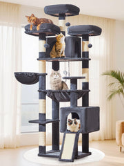Taoqimiao vue avant de l'arbre à chat montrant stabilité et plusieurs niveaux