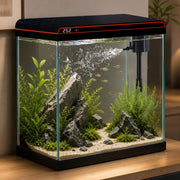 TARARIUM face avant en verre montrant visibilité optimale et esthétique