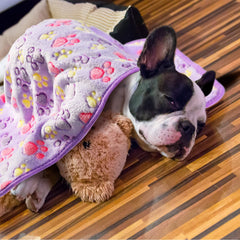 Tatuo détail motif patte visible pour cache-taches et style